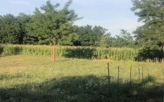 Teren 1000 mp , situat in Catamaresti Deal - Poză 1