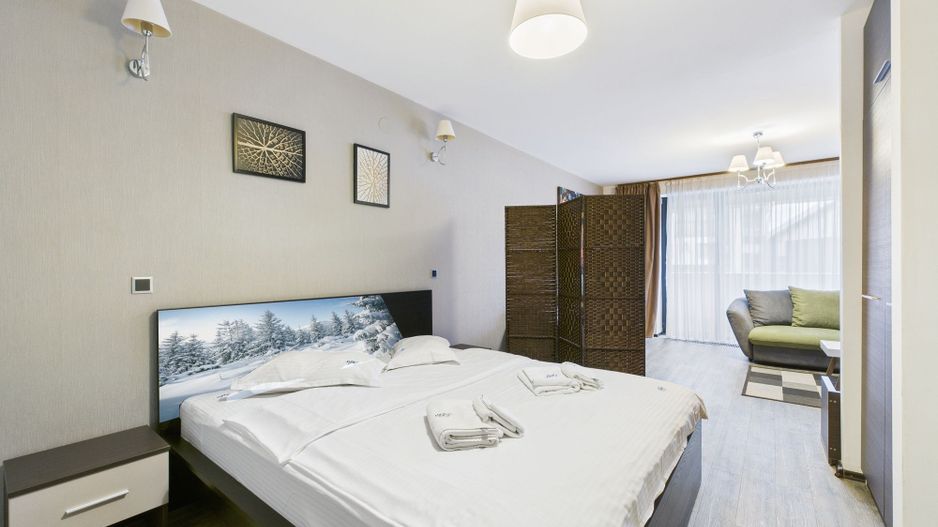 Apartament Premium- Silver Mountain, Poiana Brasov - Poză 12