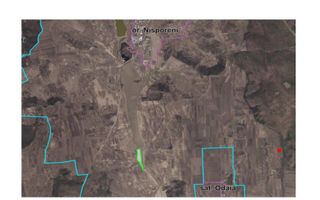 Teren agricol de vânzare – 6,8 hectare cu lac propriu și casă, Nisporeni - Poză 7