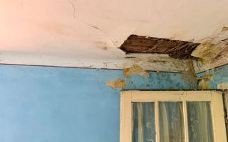 Comision 0! | Casă + teren generos | 2600 m² | Oportunitate unică - Faureni - Poză 19