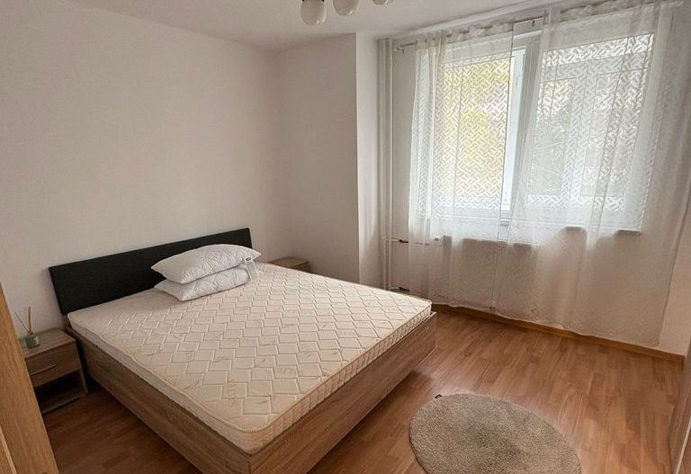 Apartament 2 camere, dog friendly, ParkLake, metrou Nicolae Grigorescu - Poză 8
