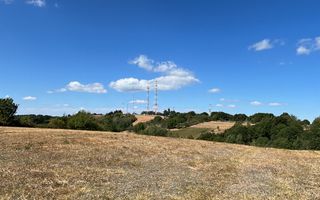 Teren Intravilan 17.800 mp Șinteu - Poză 1