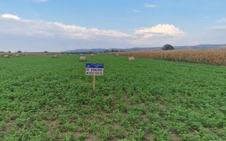 20 de parcele pentru constructii langa soseaua de centura - Poză 1