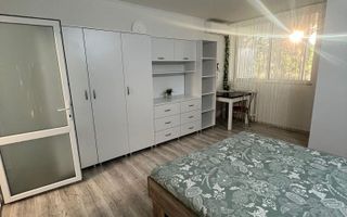Închiriere pe zi, 1 cameră, 34 mp, Podul de Piatră, Liteni - Poză 1