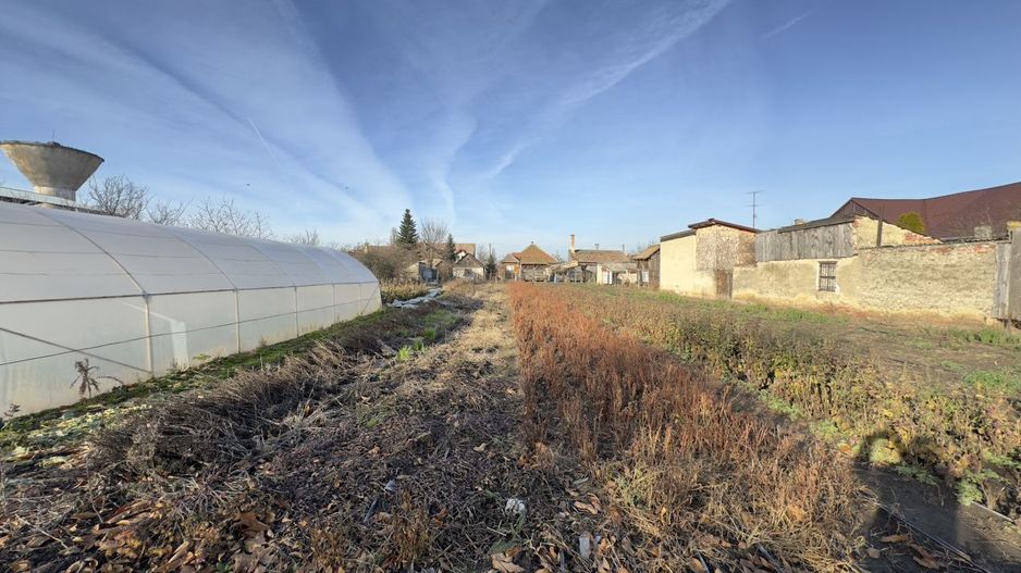 Casă 4 camere cu Teren 2.974 mp | Rezidență sau afacere | Carei - Poză 13