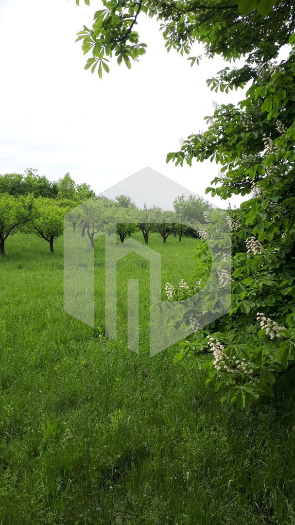 Teren de vanzare - Extravilan - 4288mp - Gusterita - 0% Comision - Poză 4