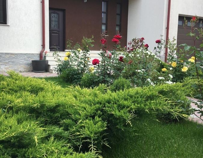 Bragadiru, vila individuala , 8 camere, piscina exterioara - Poză 7