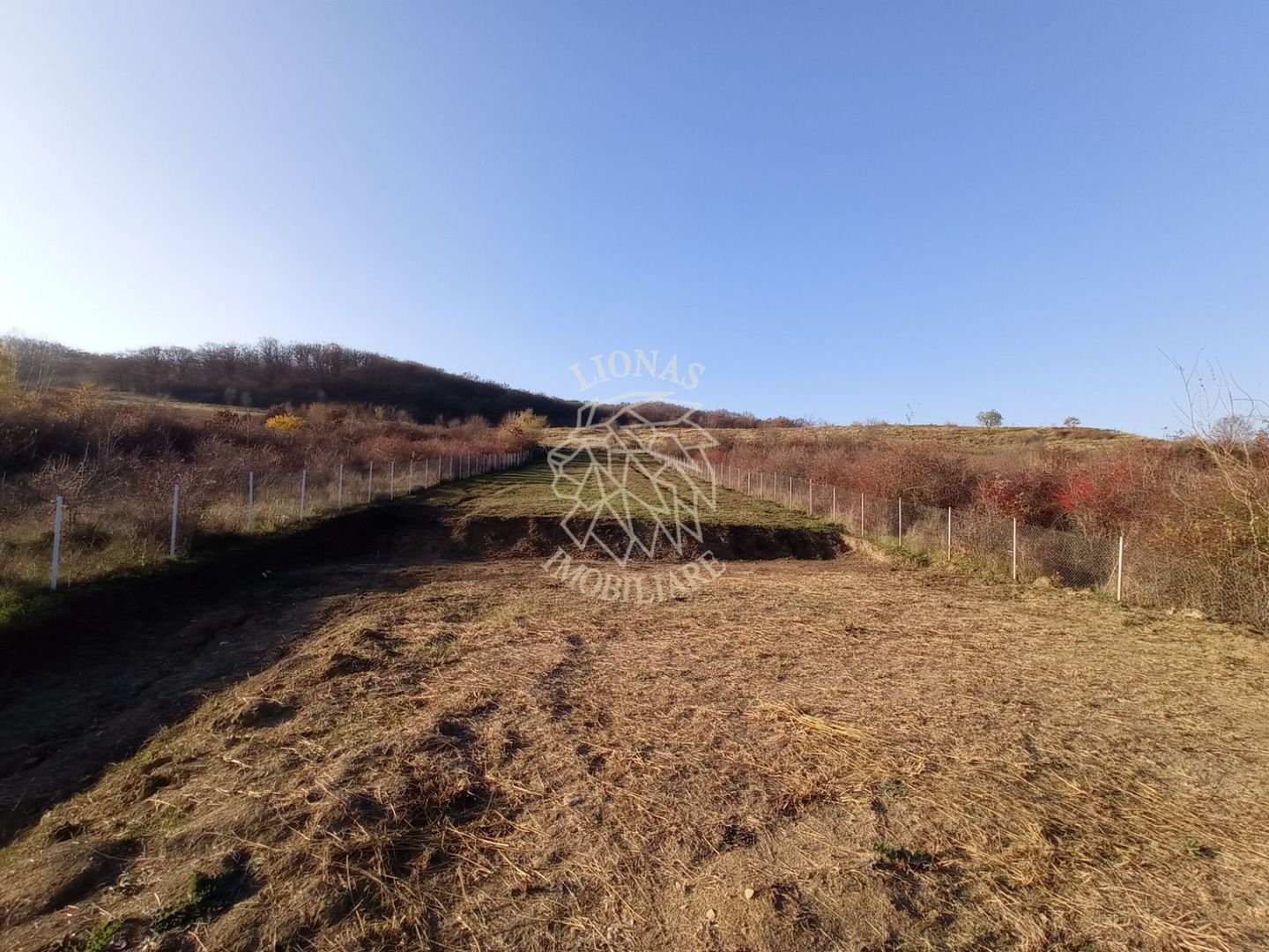 Teren intravilan 2700 mp-ideal case/investitie-Viisoara - Poză 1