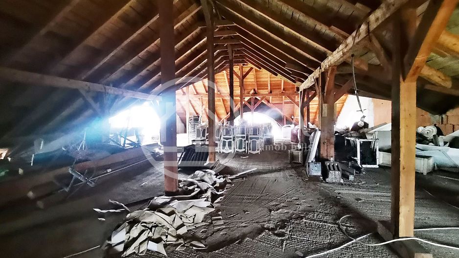 Proprietate speciala de inchiriat D+P+E+M in Calea Aradului, Oradea - Poză 19