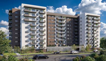 Alexandriei 152