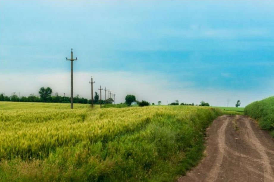 Teren intravilan in comuna Glina - Poză 3