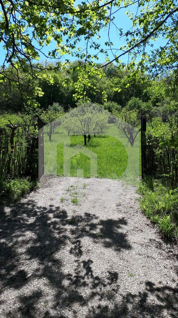 Teren de vanzare - Extravilan - 4288mp - Gusterita - 0% Comision - Poză 5