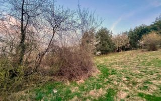 Teren Intravilan 495 mp – Zonă Liniștită - Strada Livezii - Poză 5