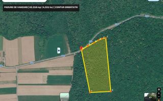 Pădure de stejar 4,33 ha, Boghicea, Neamț, cu acces auto - Poză 1