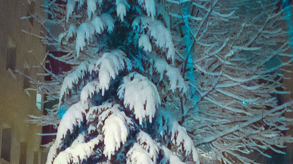 Imobil pretabil locuință permanentă, de vacanță sau spațiu birouri, Comision 0% - Poză 22