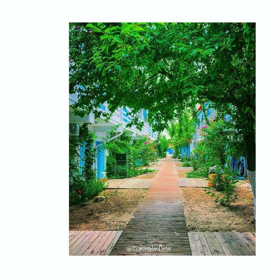 Vila turistica cu 50 camere de vanzare in 2 Mai/Constanta - Poză 15