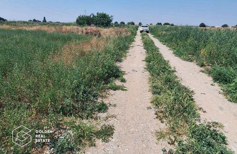 Teren pentru constructie duplex sau casa individuala, 840 mp, Chisoda - Poză 4