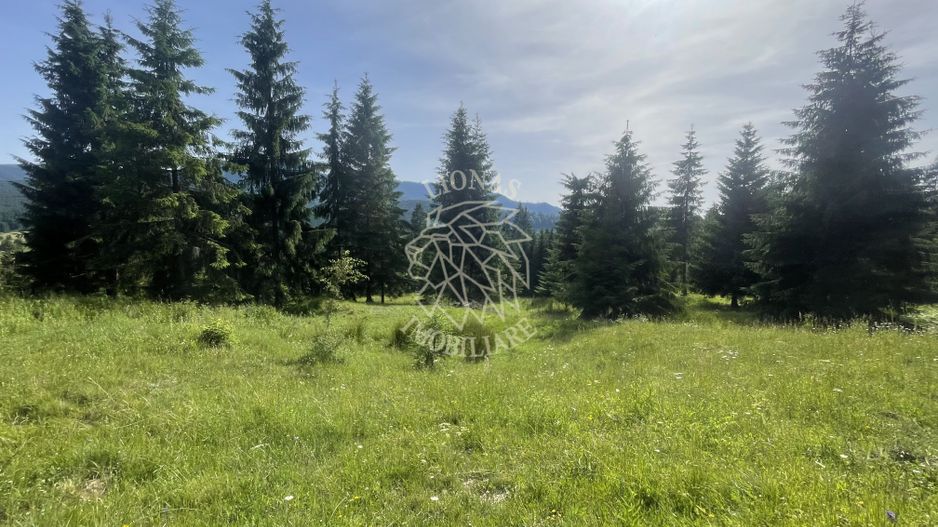 Teren intravilan 1000 mp cu utilitati-ideal cabana, pensiune-Colibita - Poză 1