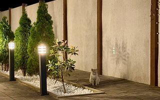 Casa superba de vanzare str Agrisului/Craiova - Poză 8