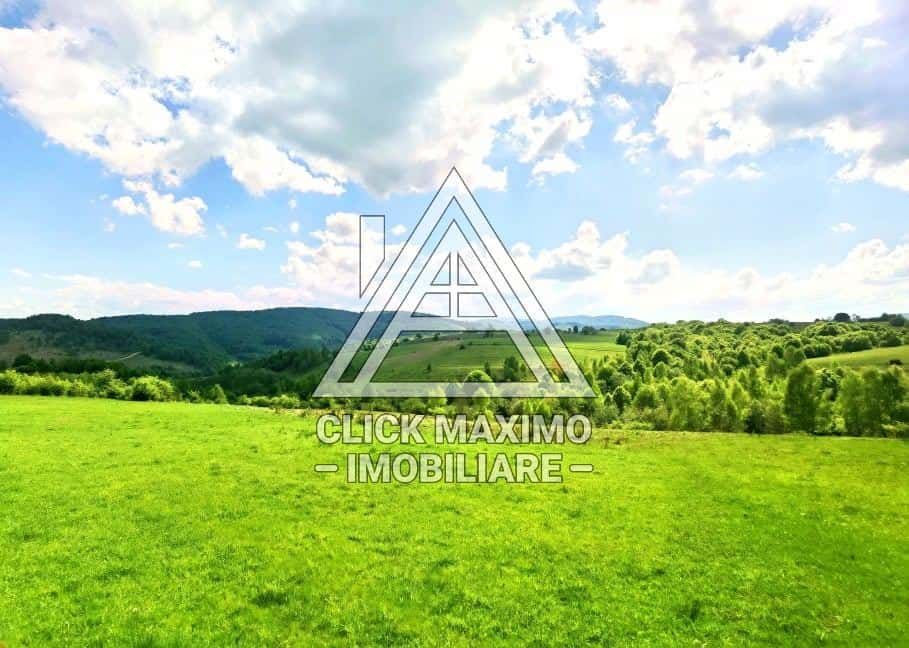 25.000 mp TEREN Ciucea – Calea Lata, jud. Cluj - Poză 6