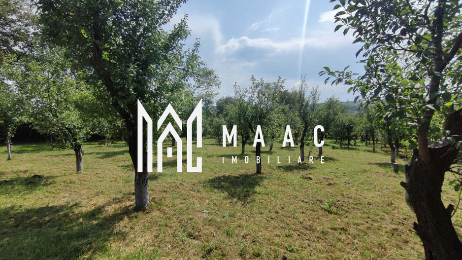 Casa 3 Camere | Teren 2500 mp | Rusi - Poză 5