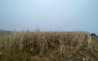TEREN EXTRAVILAN | DOUA PARCELE 2.84 HA| DARMANESTI - Poză 13