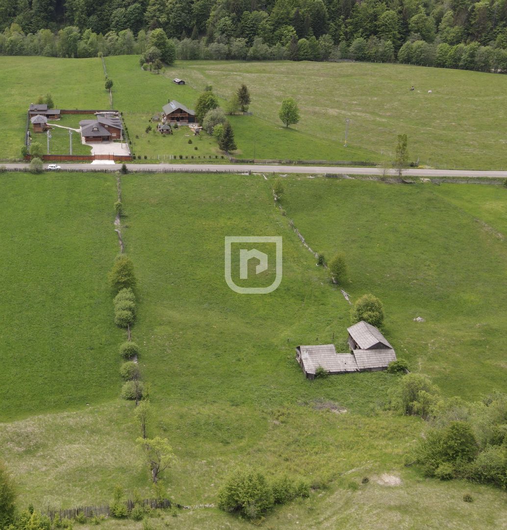 Teren Manastirea Humorului 4000mp - Poză 4