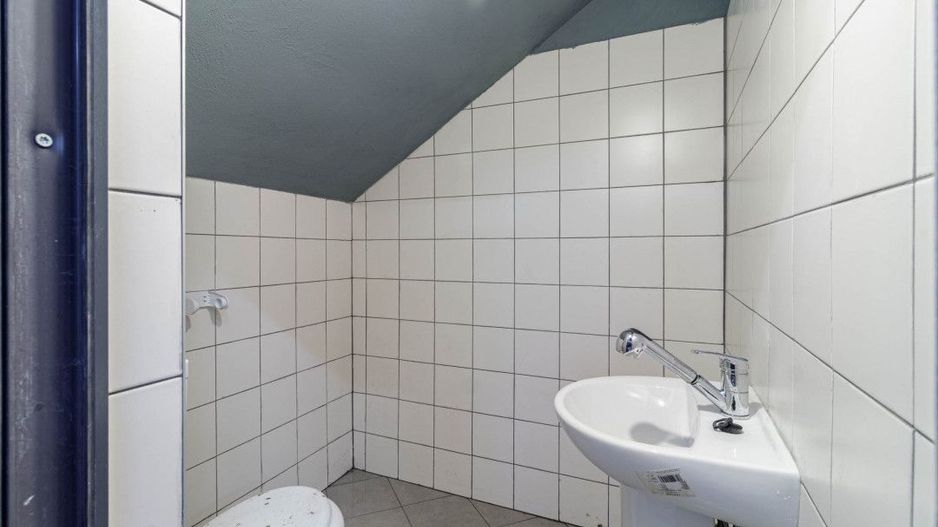 Hala / Spatiu Productie / Rezidential - Vedere catre lac - Poză 10