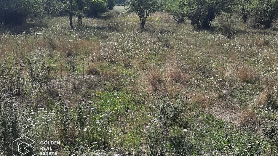 Terenuri 1300 mp, Lipova - Poză 2