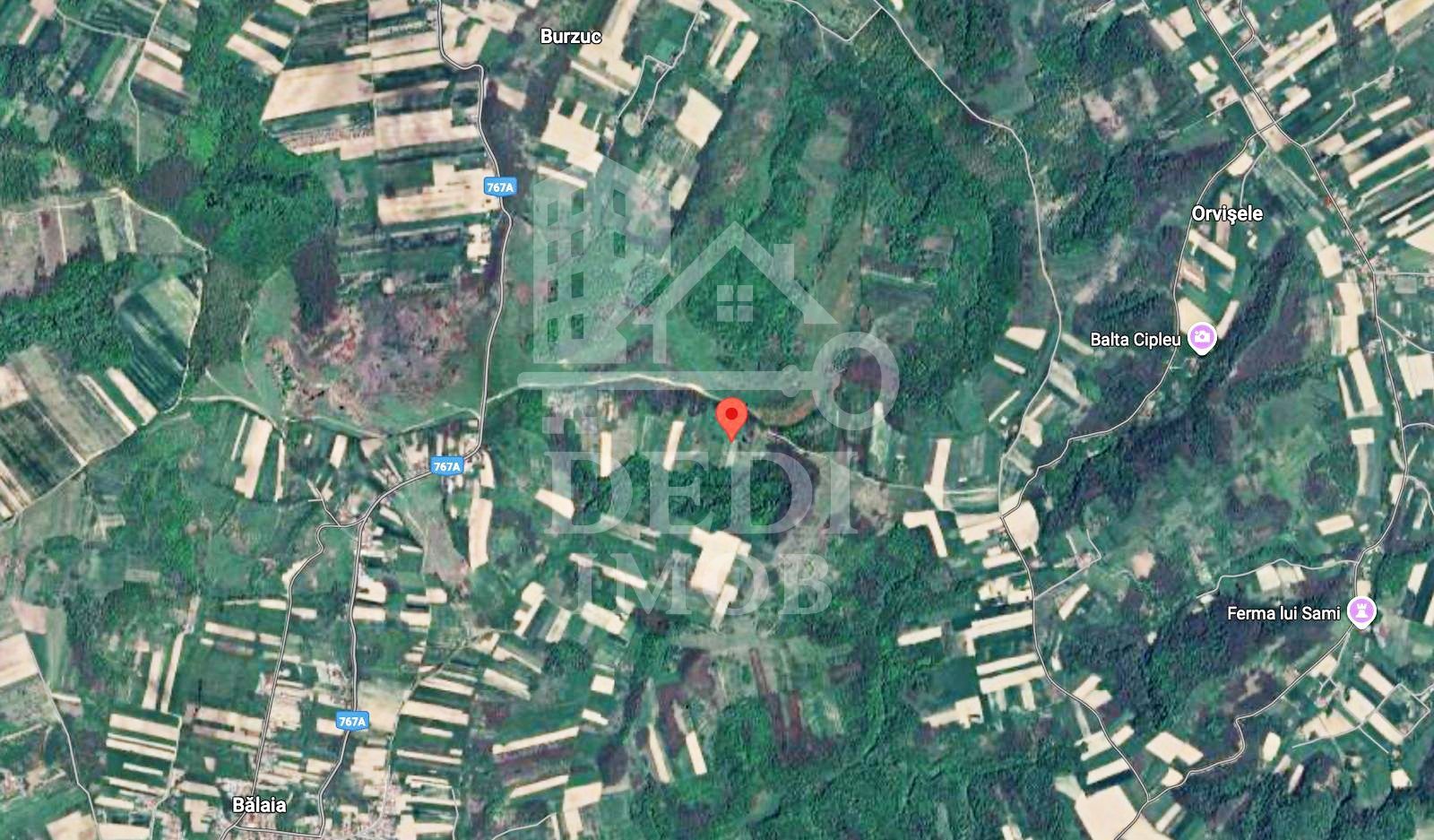 Teren 1 EURO/mp de vanzare in Tileagd-Balaia, Bihor - Poză 3