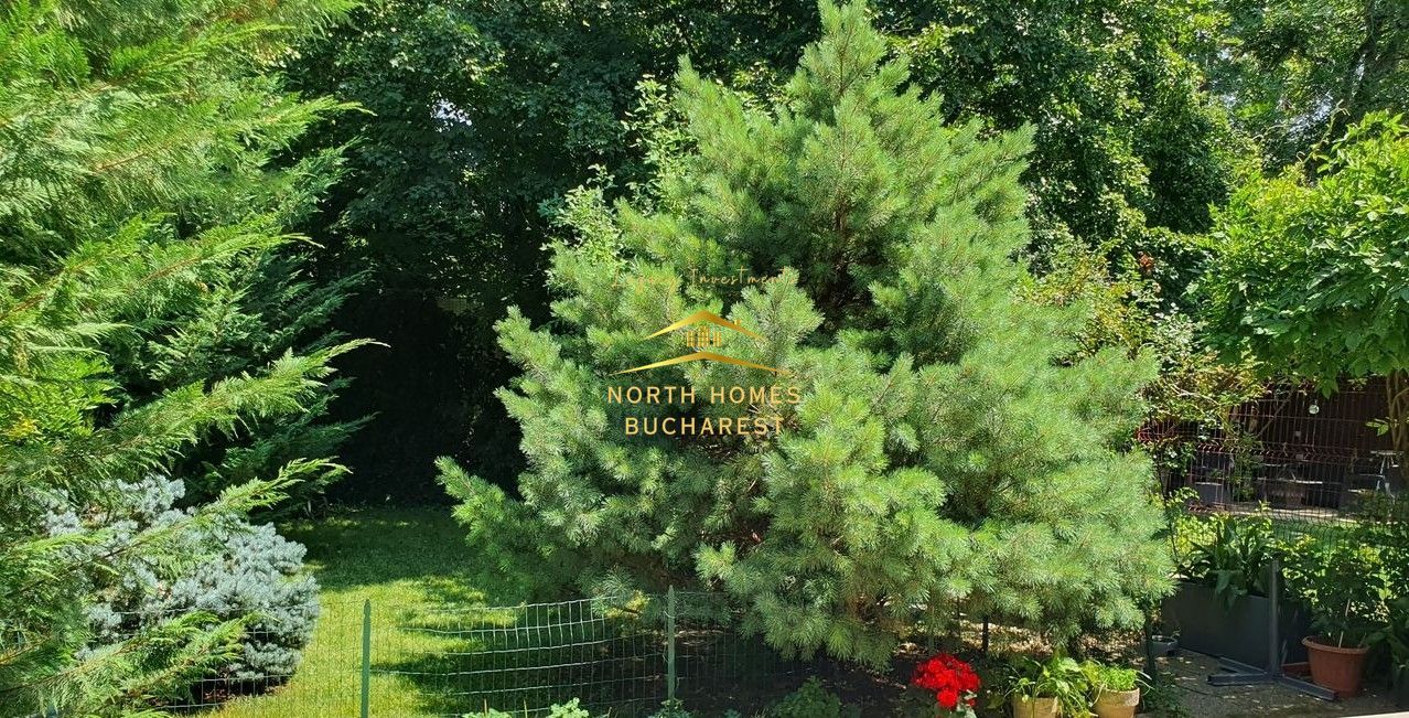 Vila de vanzare P+1 la liziera Padurii Baneasa-PARCARE -NEGOCIABIL - Poză 25