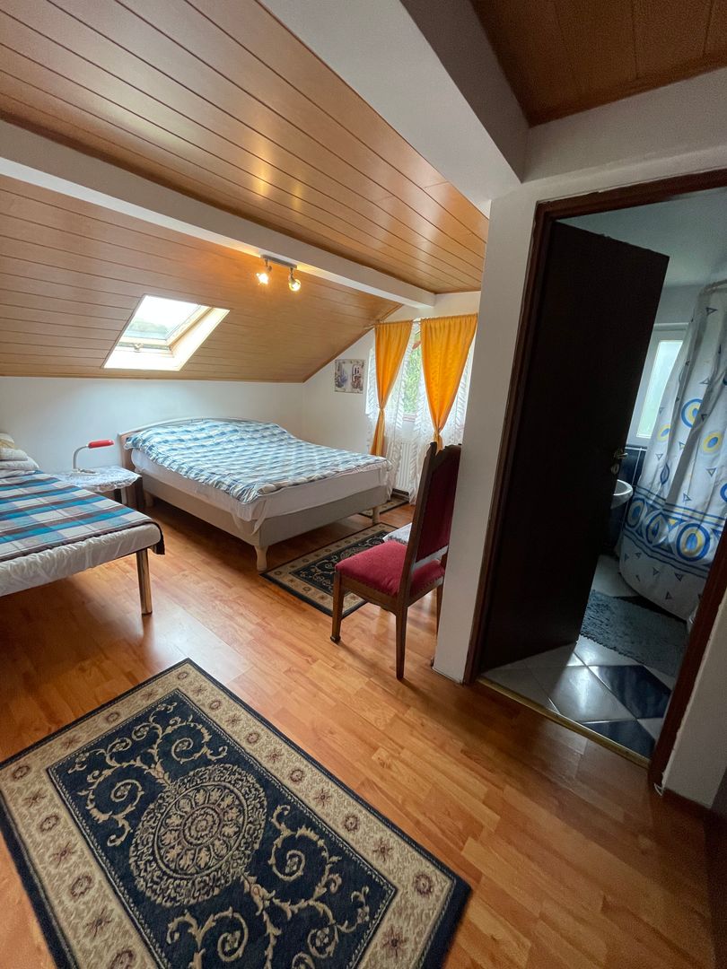 Proprietate in incantarea naturii, oportunitate investitie/rezidential, Predeal - Poză 34
