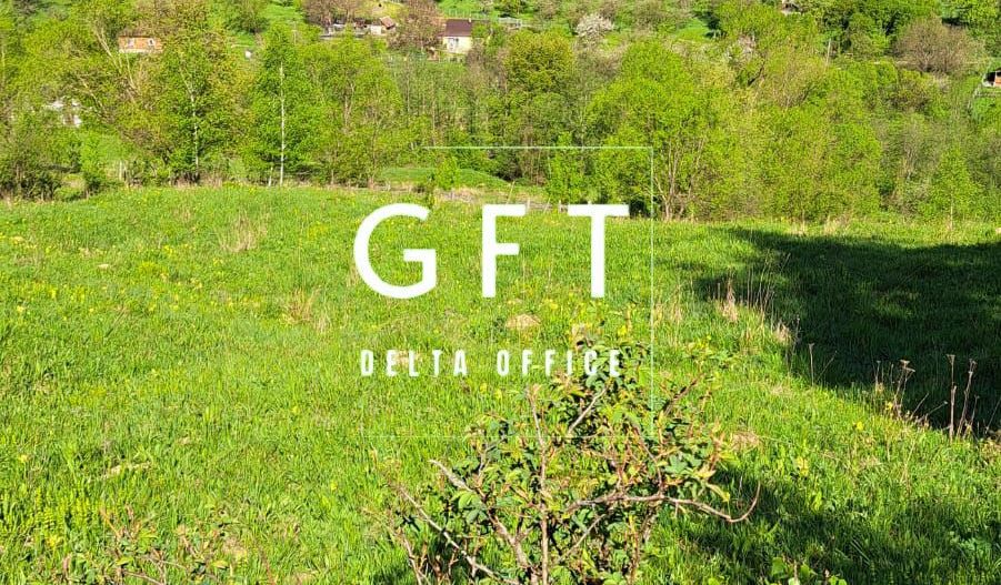 Teren extravilan de vanzare, Bistrita Bargaului- 10 minute de Colibita - Poză 14