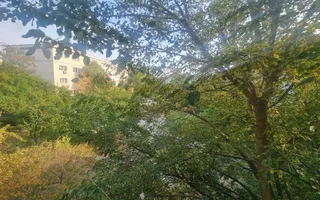 Garsonieră de închiriat | Zona ITM Etaj 2 | Deva| Hunedoara - Poză 15