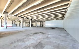 Spatiu industrial - 1229 mp  # plus-imo.ro - Poză 3