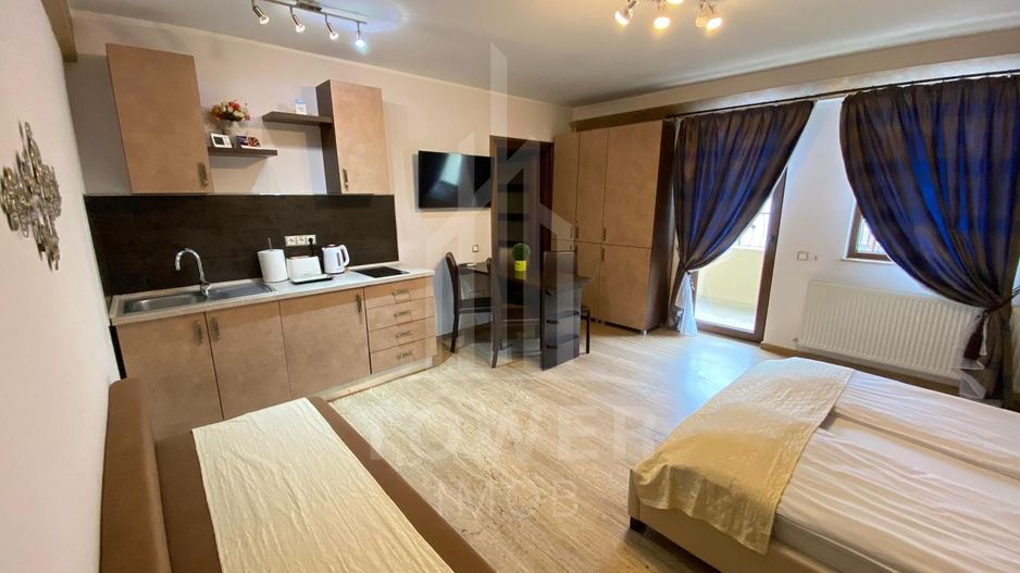 Studio de închiriat-Zona Centrala-1-3 luni - Poză 2