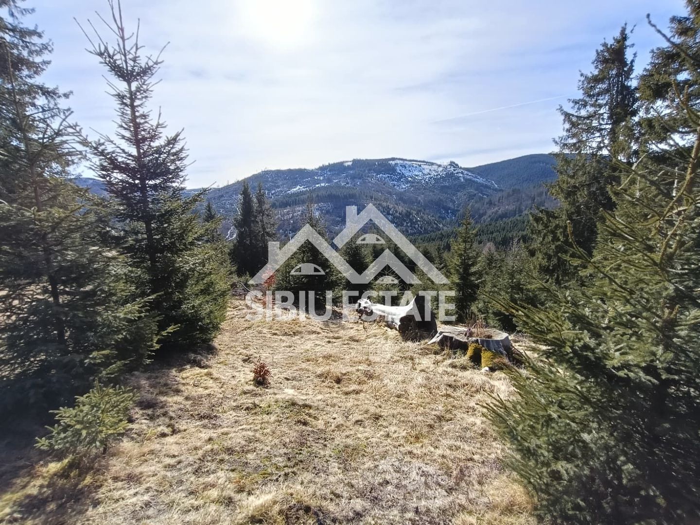 Teren de vânzare în zona montană a județului Alba - Poză 4