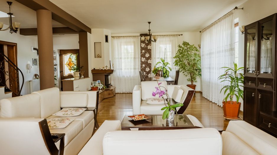 Vilă cu piscină în Fântânele - Poză 1