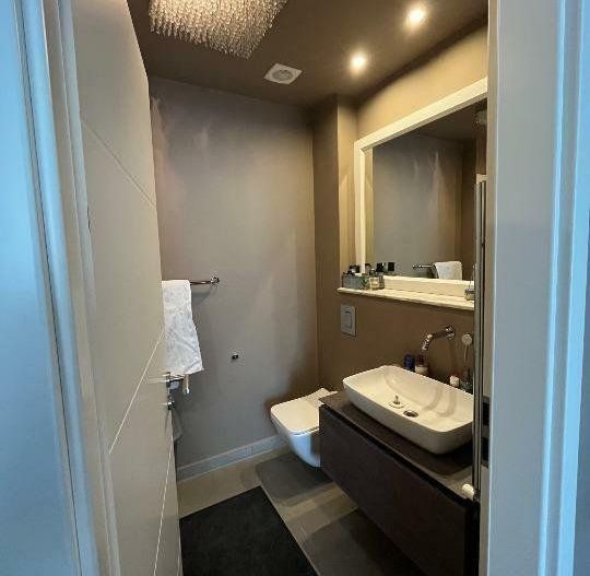 Vila cu finisaje luxoase in Complex Baneasa Park, zona British School - Poză 6