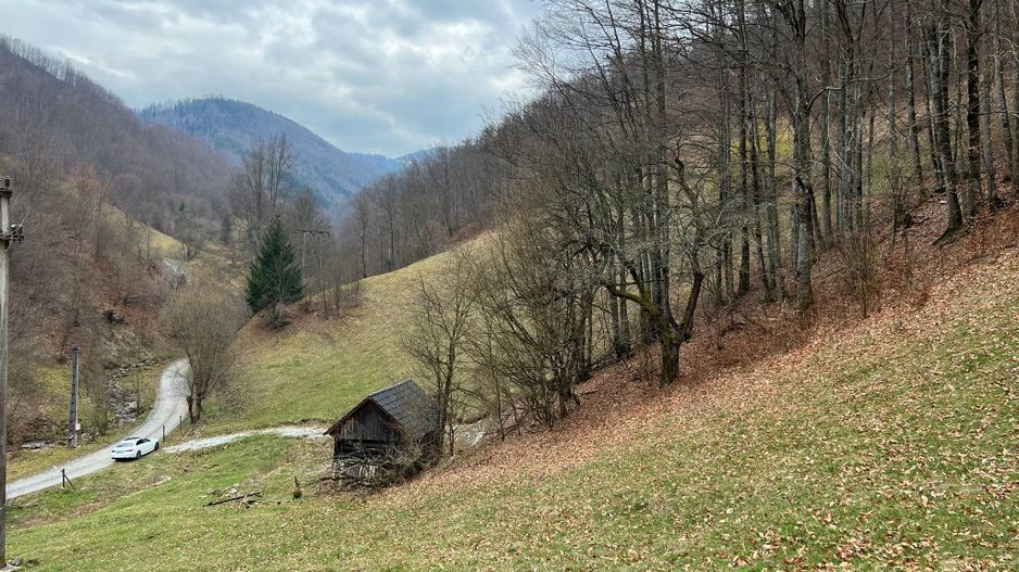Teren intravilan 1.28ha Remeti–perfect pensiune/cabane, zonă turistica - Poză 6