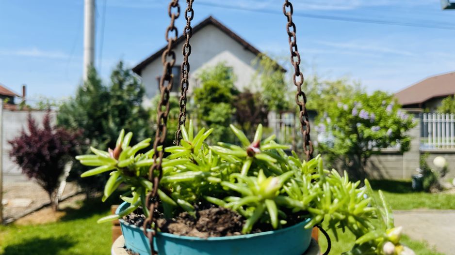 OFERTA VANDUTA - Casa Sacalaz - curte superba | 180 mp, 5 camere - Poză 15