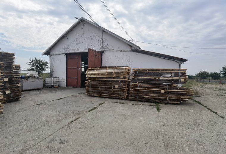 Proprietate industriala la 30 km exterior sud Timisoara - Poză 33