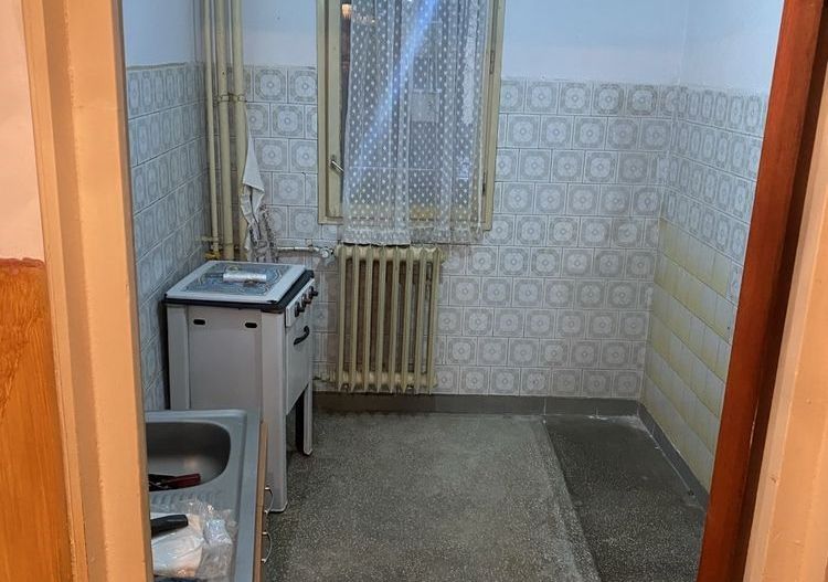 Apartament 2 camere zona Fizicienilor - Camil Ressu - Poză 6