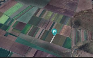 Teren extravilan de 14.500 mp în Caporal Alexa - Poză 3