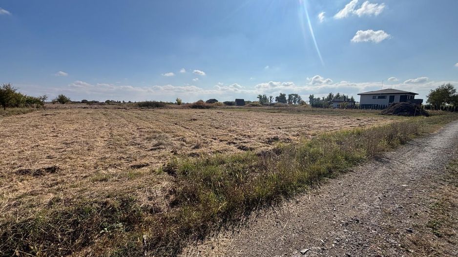 Teren Mosnita NOua 780 mp posibilitate duplex - Poză 3