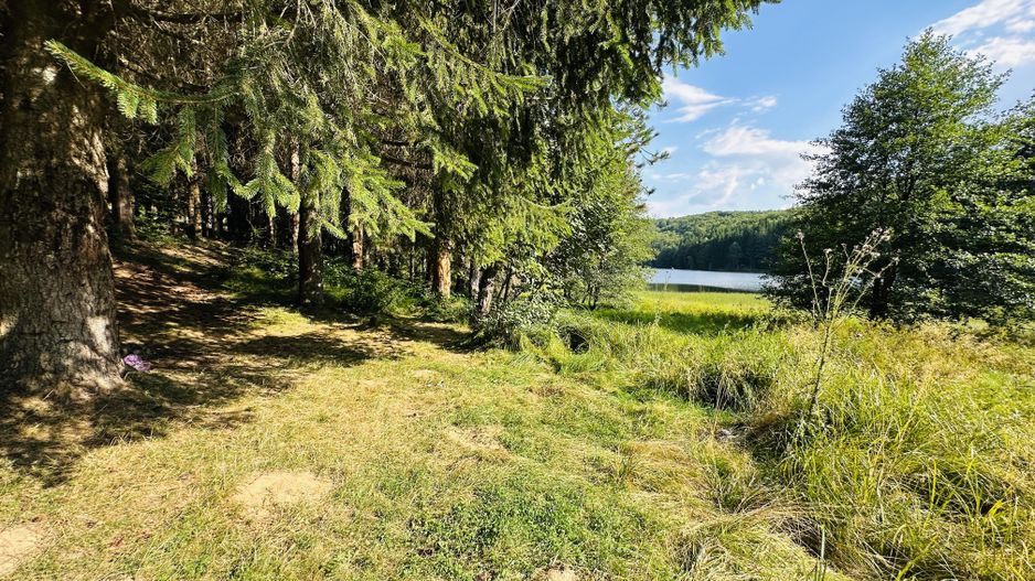 Un teren de vis cu deschidere la Lacul Trei Ape, Brebu Nou | Com 0% - Poză 4