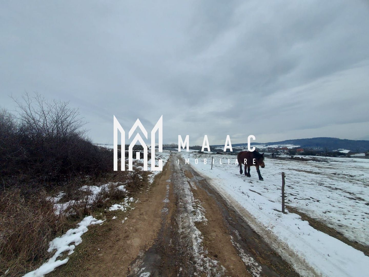 Teren 8.600 mp | Vedere panoramică| Bungard - Poză 3