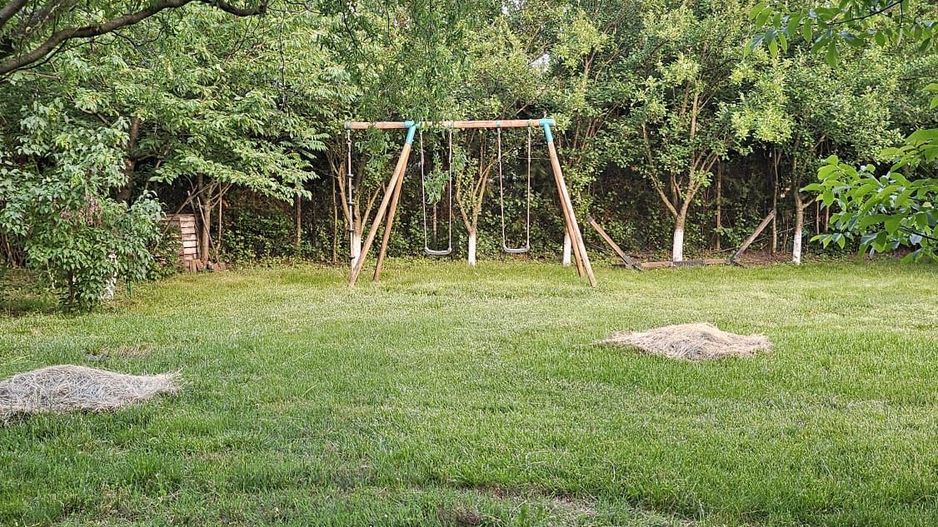 Vila 8 camere Dascalu - Poză 5