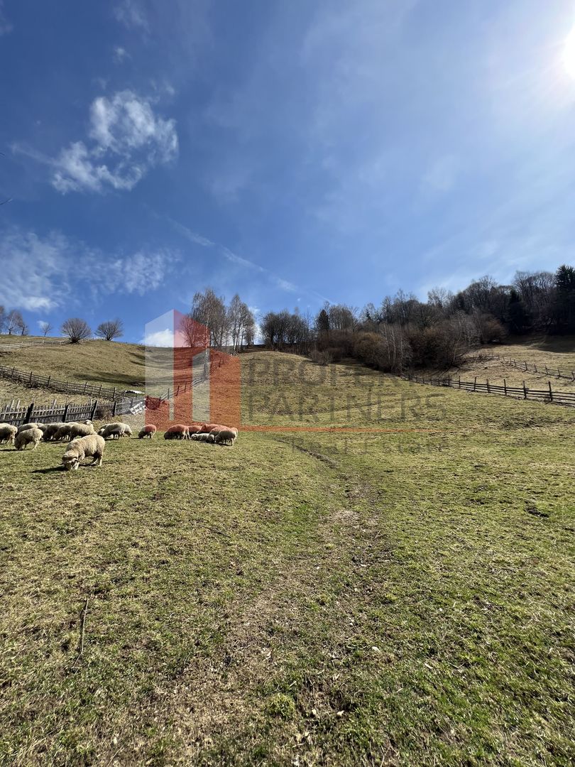Teren Intravilan 9.194 mp, zona Bran - Simon - Poză 10