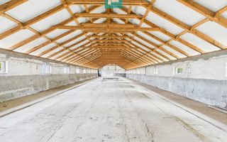 Hală pentru producție / fermă zootehnică  - Variaș - Poză 9